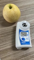 Nieuw Seizoen Verse Natuurlijke Peren Met Smaak Van Zeer Zoet En Sappig Geproduceerd In China
