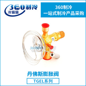 Vanne d'expansion thermostatique Danfoss TGEL 13/19 Tr 45/68 Kw Odf pour climatisation et refroidissement - Product Image 5