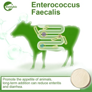 2025 Trung Quốc hot chăn nuôi và gia cầm Probiotics enterococcus faecalis cho gà - Product Image 6