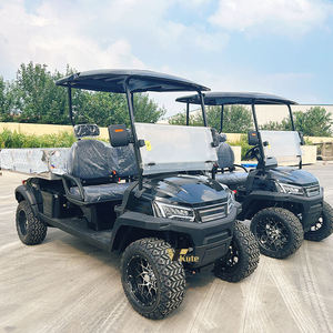 Voitures électriques vintage classiques pour le tourisme, les meilleures voitures de golf électriques - Product Image 4