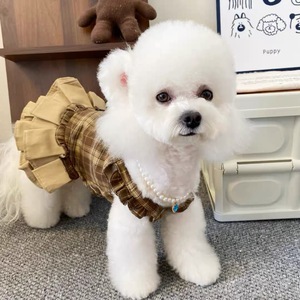 Ropa para Mascotas, Chaleco para Perro, Falda Color Caramelo, Transpirable, Estilo Casual de Primavera - Product Image 5
