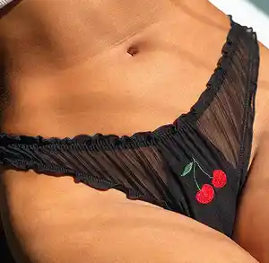 Women's Transparent Panties Mesh Low Waist Bikini Panties Fruit Embroidery Cute Girl's Underwear Teen Girls Wearing Panties