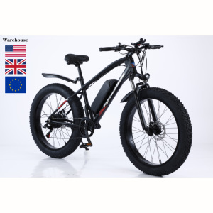 2021 new 48V500W12.5Ah electric mountain bike European and American warehouse direct fat tire electric bike