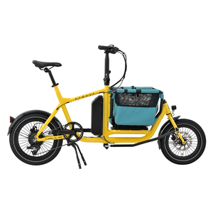 Vélo électrique familial hybride à 2 roues pour ville et route, adapté aux animaux de compagnie et à la livraison, en stock dans notre entrepôt UE, disponible actuellement en Europe. - Product Image 1