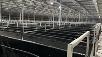 Invernadero Venlo de Vidrio Templado con Estructura de Acero y Sombreado Externo para Agricultura y Turismo