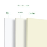 Papel de Impresión Offset A4 de 80 g/m², 100 Hojas, Protección para los Ojos, Sin Madera, Beige, Impresión a Doble Cara