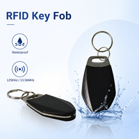 Wasserdichter Schlüsselanhänger mit Eigenem Logo 125KHz TK4100 und 13,56MHz Wiederbeschreibbarer RFID NFC Metall-Schlüsselanhänger für Zugangskontrolle Smart Tag