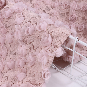 Exquis <span class=keywords><strong>de</strong></span> haute qualité 3d rose brodé <span class=keywords><strong>tissu</strong></span> <span class=keywords><strong>de</strong></span> dentelle <span class=keywords><strong>de</strong></span> mariée <span class=keywords><strong>En</strong></span> <span class=keywords><strong>Ligne</strong></span> Offre Spéciale - Product Image 2