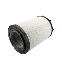 Filtre à air moteur Hanlton 1869992 BS01-164 P953210 AF1001 E1033L LX3581 C31017 AF1001 E1033L 1869992 RS5671 P953210