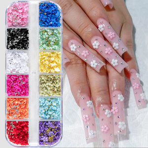 Breloques florales 3D pour nail art, 12 couleurs, strass de 3 mm, perles caviar, cristaux en plastique, décoration d'ongles DIY, boîte cadeau pour femmes - Product Image 2