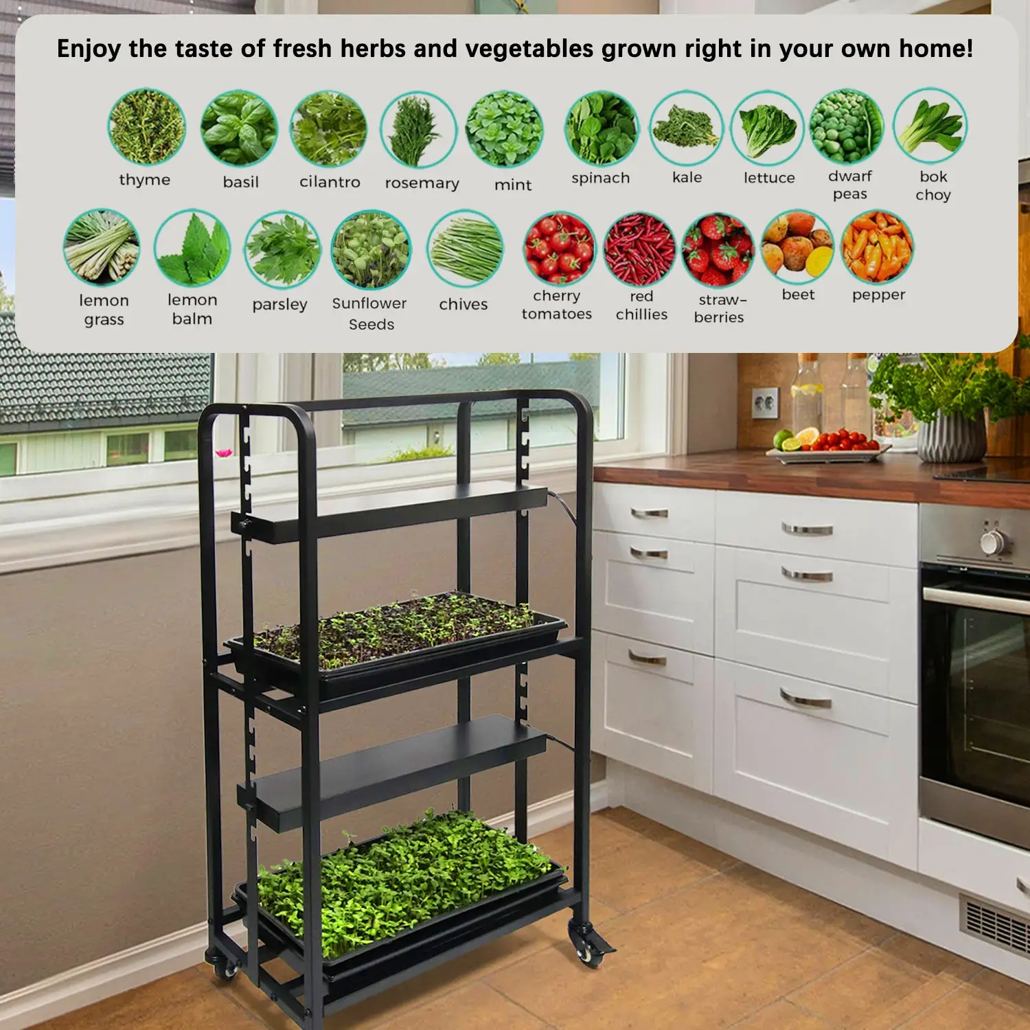 Indoor Greenhouse Kitchen Garden 2-Tier Grow Light System Plant Stand for Micogreen Plants Herbs Succulent Optimal