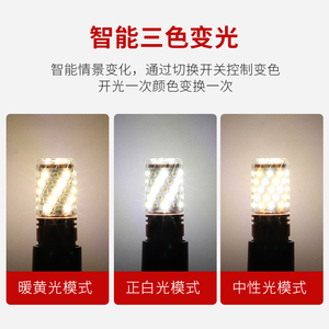 หลอดไฟ LED E27 Par36 Smd 2835 6000K แสงเดย์ไลท์ ตัวเรือนอะลูมิเนียมอัลลอยด์ CRI80 1000LM ปรับความสว่างได้ AC 220V รีโมทคอนโทรล อายุการใช้งาน 20000 ชั่วโมง - Product Image 2