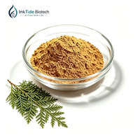 Poudre d'extrait de feuille de Platycladus Orientalis de qualité industrielle, matière première naturelle de Cacumen Platycladi pour formules cosmétiques et alimentaires