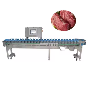 Báscula Electrónica de Pesaje para Pescado Congelado con Cinta Transportadora, Clasificación Automática de Peso, Acero Inoxidable 304, OEM/ODM - Product Image 3