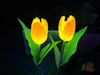 Lampu LED RGB Bunga Taman Plastik Tahan Air IP65 Panjang 70cm Natal Ra80 2700K