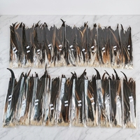 Plumes de coq naturelles brunes semi-bronzées de 40-45 cm, Plumas De Gallo, vente en gros pour costumes de carnaval, festival, samba