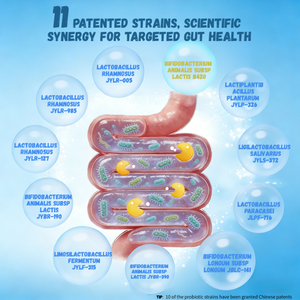 Fibra Probiótica <span class=keywords><strong>para</strong></span> la Salud Intestinal, Polvo Liofilizado, Suplemento Probiótico <span class=keywords><strong>para</strong></span> la Salud Digestiva - Product Image 6