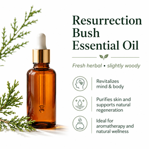 Aceite esencial de Resurrection Bush para el cuidado de la piel, aromaterapia, cuidado de heridas, apoyo respiratorio, alivio de la inflamación. - Product Image 1