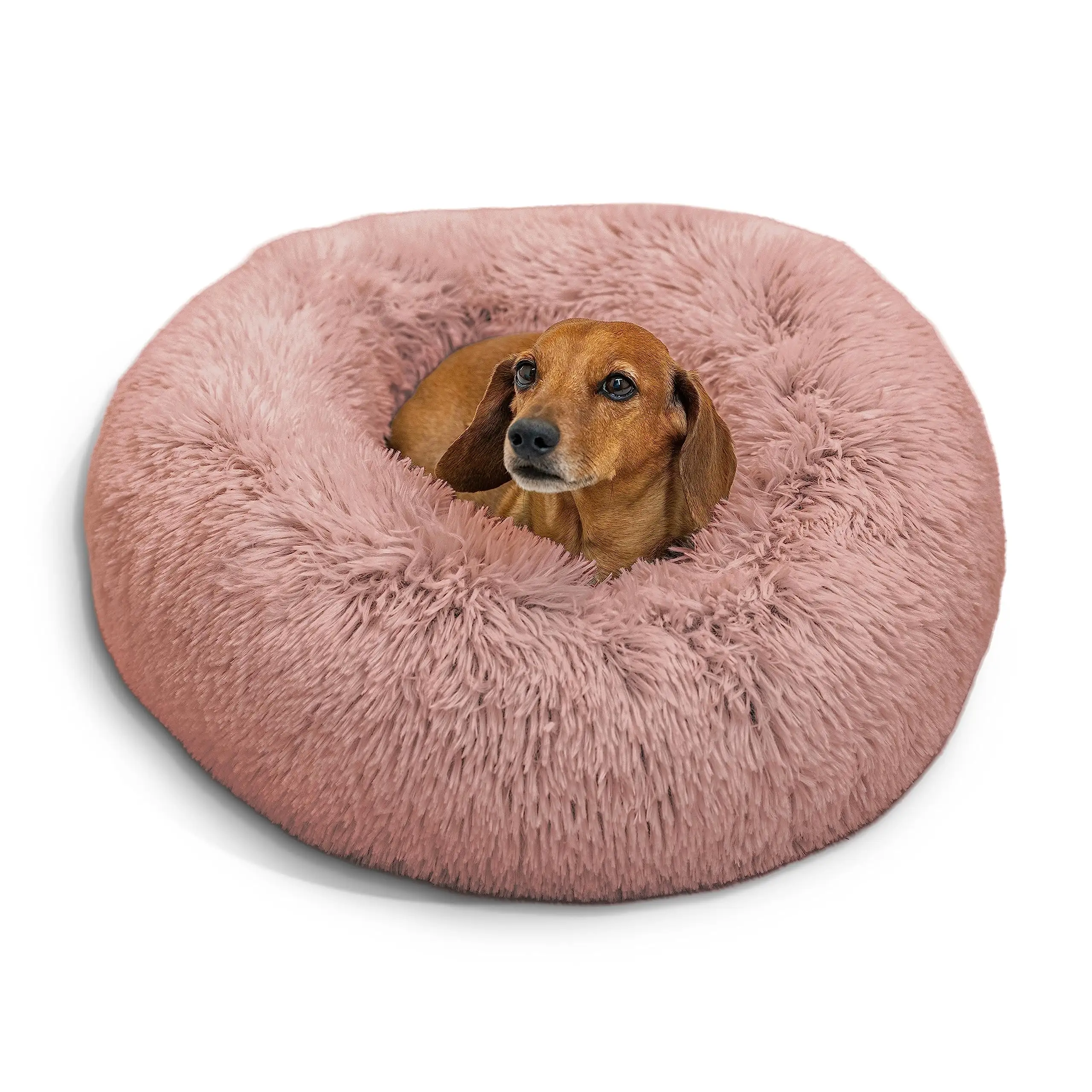 여러 크기 먼지가 많은 장미 안전 기계 빨 진정 도넛 애완 동물 침대 모든 애완 동물을위한 23in 라운드 개 침대