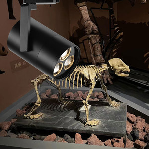 Projecteur LED sur rail à puce 3-en-1 haute performance, éclairage haute luminosité pour vitrine <span class=keywords><strong>de</strong></span> musée et présentoirs <span class=keywords><strong>de</strong></span> plafond. - Product Image 3