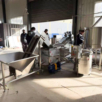 Freidora Continua Electrónica para Carne, Papas Fritas, Snacks y Patatas Fritas, Máquina para Freír Alimentos con Control de Temperatura Ajustable