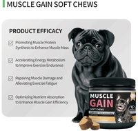 Comprimés à croquer OEM pour la croissance musculaire canine - Vitamines et minéraux riches en protéines à absorption rapide pour toutes les races - MOQ flexible, personnalisable