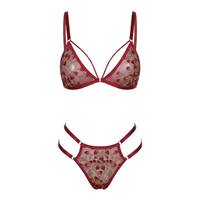 Nouvel ensemble de lingerie sexy rouge en dentelle écologique et respirante pour femme, broderie florale exotique, soutien-gorge et culotte transparents à bretelles, 2 pièces