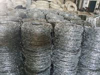 Alambre de púas para muros de hormigón y vallas de acero, barrera de protección de alta seguridad para límites de almacenes y fábricas