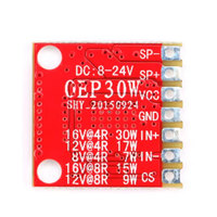 Module d'amplificateur numérique mono OEP30W, kit DIY, amplificateur 30W classe D OEP30W