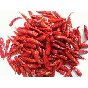 HOT SELLING DRY CHILI FROM CHINA 2023
