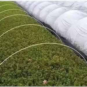 अनुकूलित पौधे की हिस्सेदारी शीसे रेशा पेड़ की हिस्सेदारी ग्लास फाइबर टेंट रॉड के बाद टमाटर की हिस्सेदारी - Product Image 4