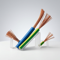 Kabel Tembaga Murni 2/3/4/5/6/7/8/10 Inti Berisolasi PVC untuk Instalasi & Konstruksi
