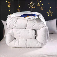 Couette d'hiver épaisse de 8 kg en alternative au duvet, qualité hôtelière, en soie-coton, pour la Chine, livraison directe, idéale pour les maisons d'hôtes printemps-automne