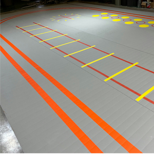 2024 nouveau tapis en vinyle Mma Roll Out la pratique de la lutte tatami personnalisé tapis de sol à vendre - Product Image 4