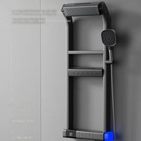 Nouvel ensemble de douche haut de gamme en laiton chromé avec LED lumineuses et rangement multifonctionnel à double niveau pour salle de bain et toilettes à domicile