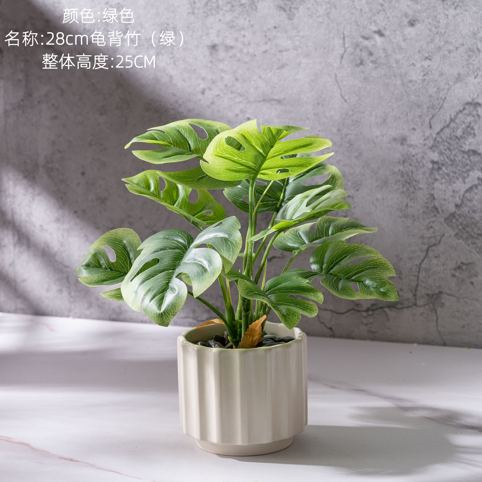 Plante en pot Monstera deliciosa (verte) de 28 cm