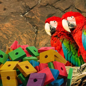 Jouets pour perroquets, 100 blocs en bois, jouets à mâcher pour oiseaux, coupe-bordures pour le bec, artisanat pour les pattes, pièces de cage, bricolage, jeu, mastication, déchiquetage, jouet pour oiseaux de grande taille - Product Image 6