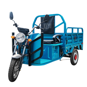 Triciclo Eléctrico de Carga Keyu 800W EEC Capacidad de Carga de 400KG Tipo Abierto Triciclo Eléctrico de 3 Ruedas - Product Image 1