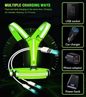 Harnais Réfléchissant Réglable Écologique pour Chien avec Lumières LED Avant/Arrière, Rechargeable par USB, Pochette de Rangement Étanche