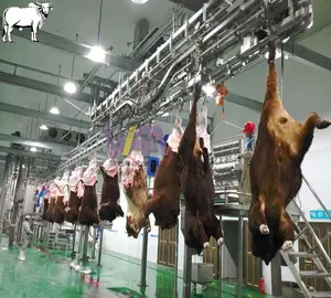 La carcassa dell'attrezzatura del macello della mucca di operazione flessibile trasporta il macchinario per la lavorazione della carne della macchina del macello del bestiame della ferrovia