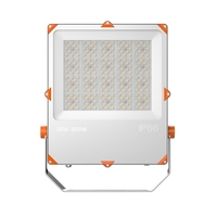 Projecteur LED industriel IP66 FK 0-10V 12V/24V en aluminium, 30W à 400W, 100% LED