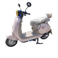 Nouveau modèle 2026 – Trottinette électrique sportive pour adultes 1000W, 60 km/h, batterie au plomb-acide, 60V, cadre en acier