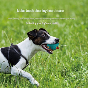 Mainan Kunyah Telur Paskah Logo Kustom Laris Manis untuk Hewan Peliharaan, Mainan Anjing Karet Premium - Product Image 2