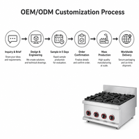 Cuisinière à gaz commerciale pour équipement de restauration, en acier inoxydable, pour pot en terre cuite, puissance 14,2 kW, cuisine cantonaise