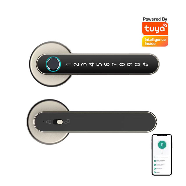 BLE Tuya Fingerprint Door Lock with Handle Suitable for Bedroom Use, Supporting Password/IC Card/Mechanical Key/ App Unlocking