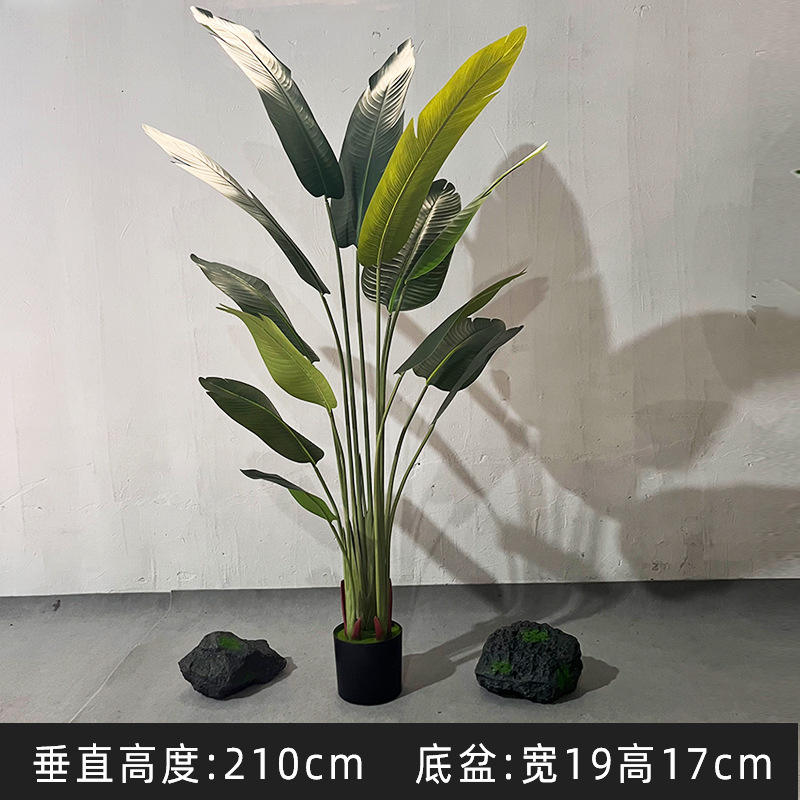 210cm Traveler's Banana - Holographic realistic hand feeling