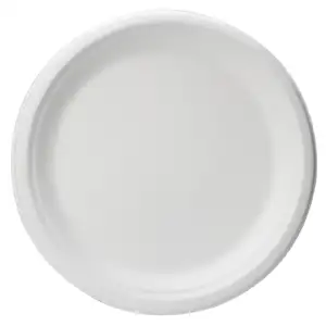 100% Biodegradable Molded Dinnerware Sugarcane Eco Round Plate White Nature Compostable Bagasse Disposable Meal Plates