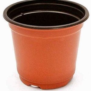 Vaso per Piante Termoformato da 120mm - Product Image 3
