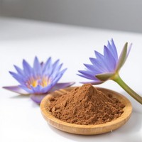 Extrait de lotus bleu de qualité alimentaire chinoise, extrait d'herbes, poudre, 10:1 20:1, emballage en fût, vente chaude