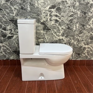 Úc nhà sản xuất hiện đại dual-tuôn ra nhà vệ sinh thiết lập tùy chỉnh gốm WC nước Closet với P-trap hoặc S-trap phòng tắm commode - Product Image 4